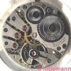 MST_352.webp