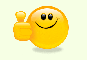 mu%C3%B1eco+feliz.gif