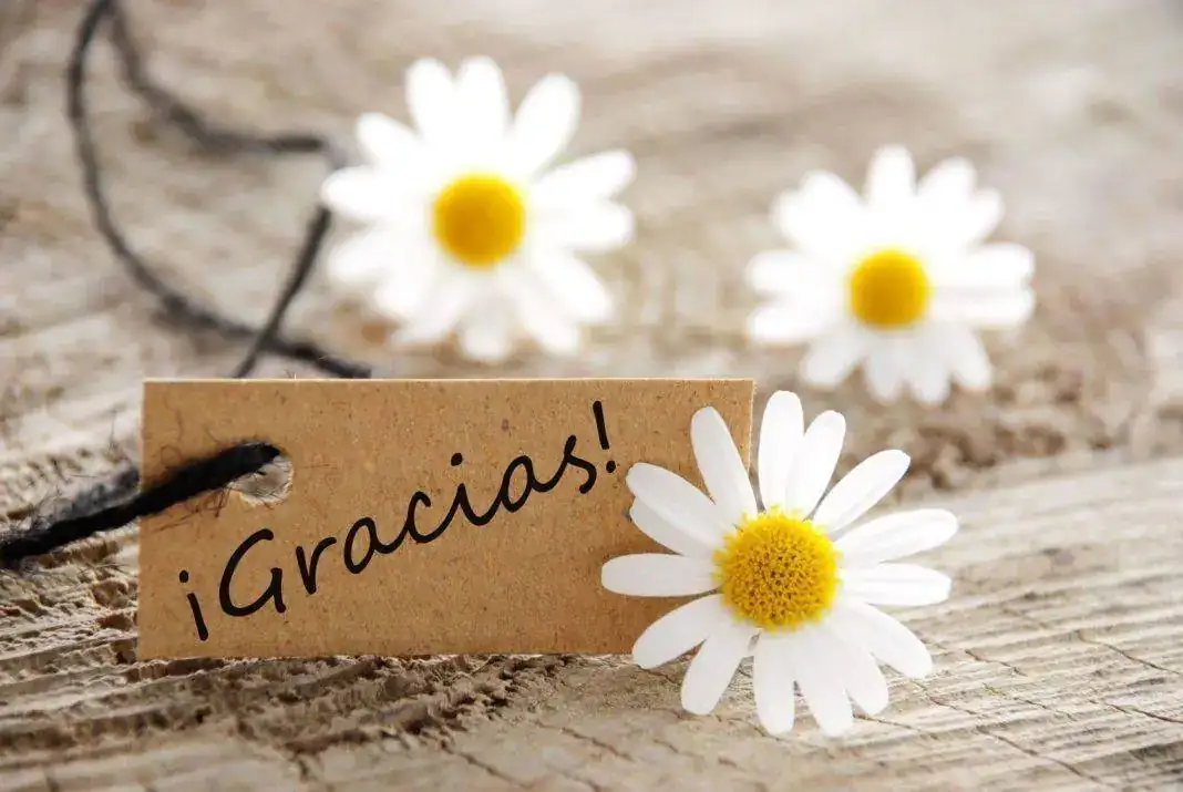 Muchas-gracias-a-todos-los-clientes-de-Sunflowers-cosmética-natural.webp