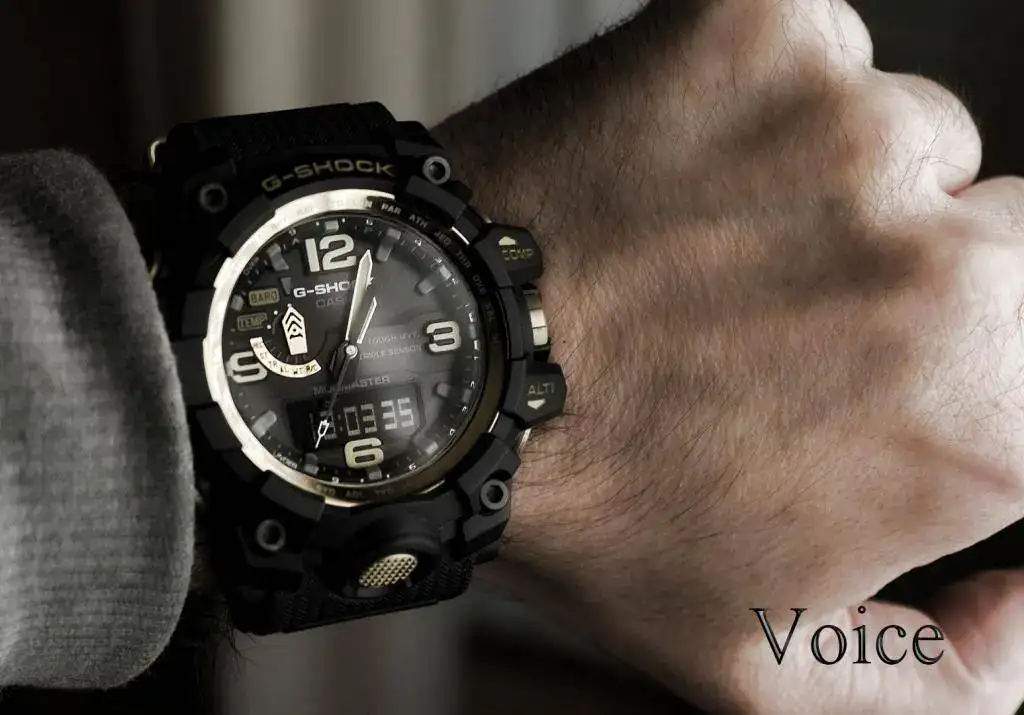 MudMaster 001b.webp