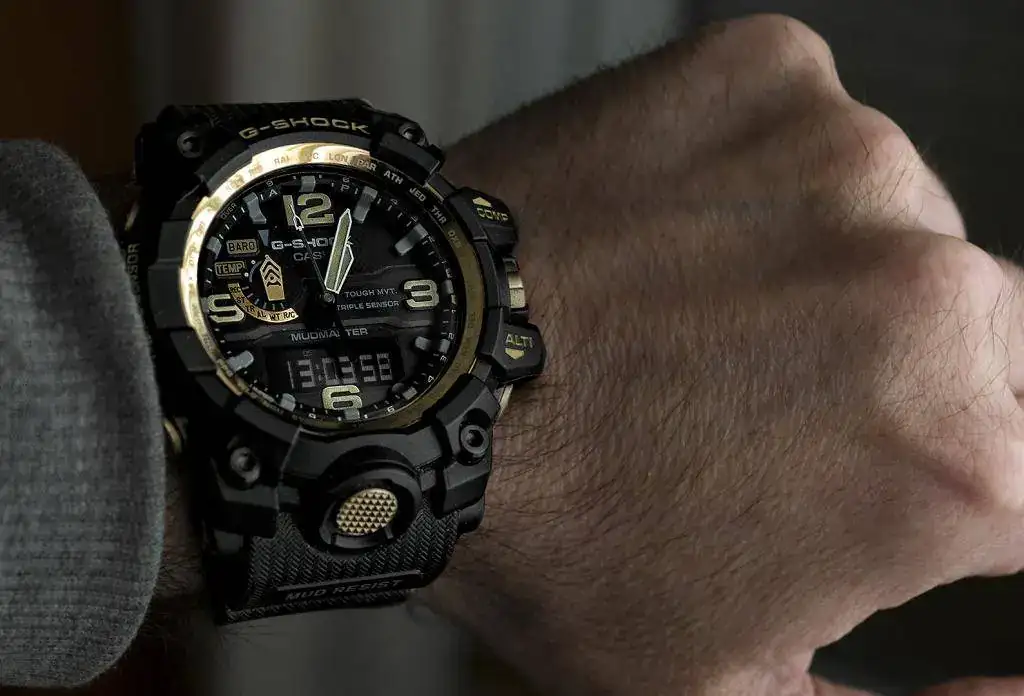 MudMaster 002b.webp
