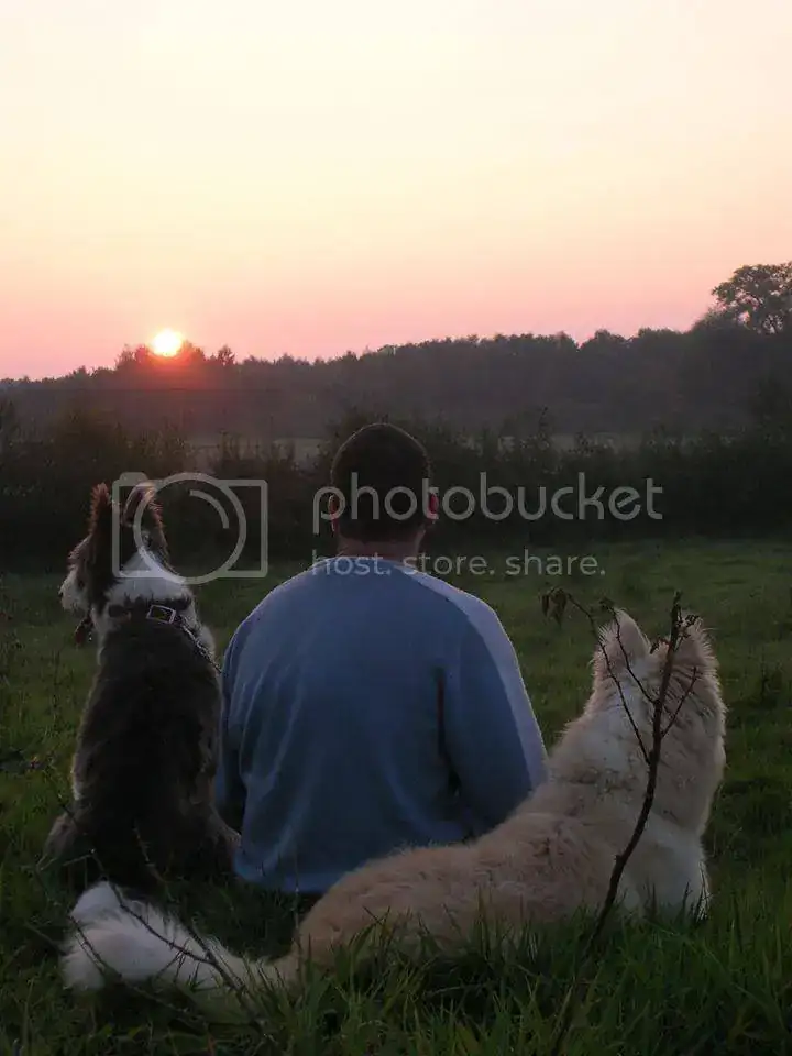 Muensterland_zpst5xiplc9.webp