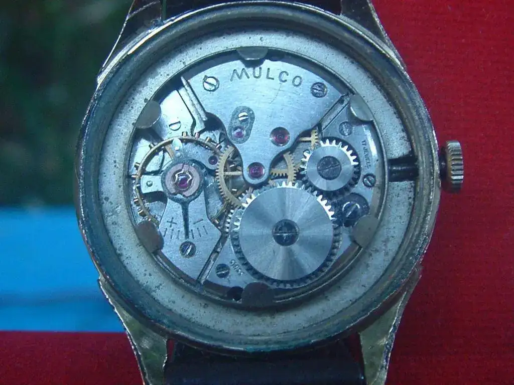 mulco escudo 4.webp
