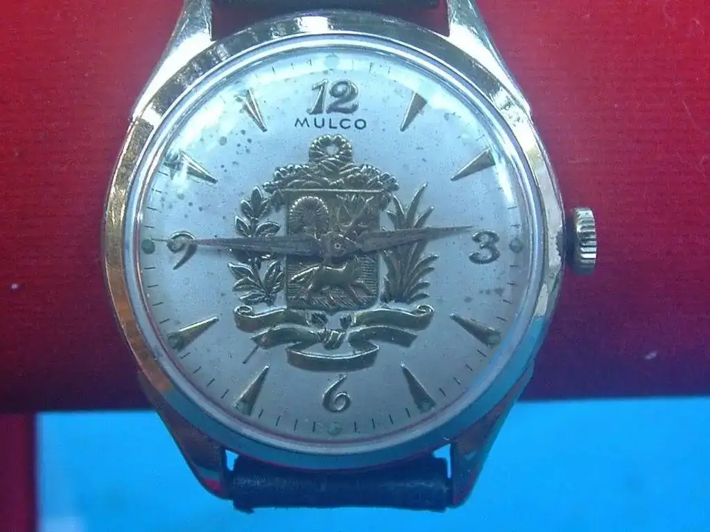 mulcoescudo1.webp