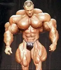 musculos2.webp
