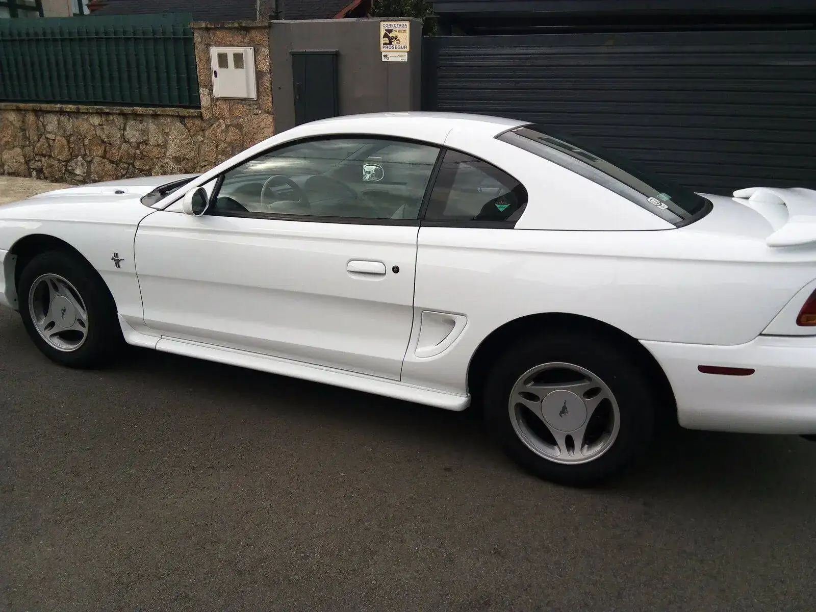 Mustang.webp
