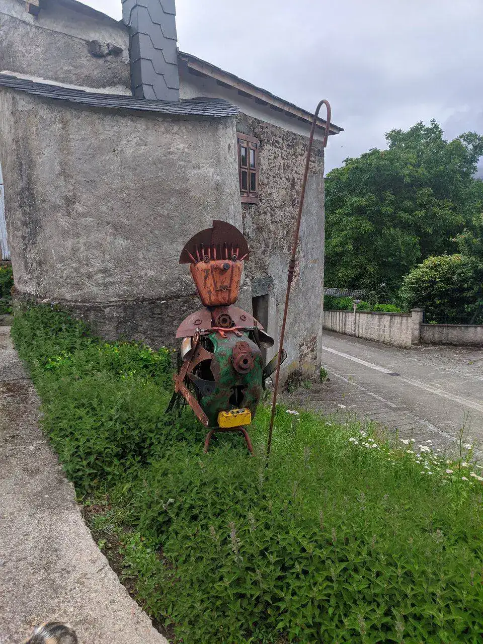 MVIMG_20220608_073056.jpg