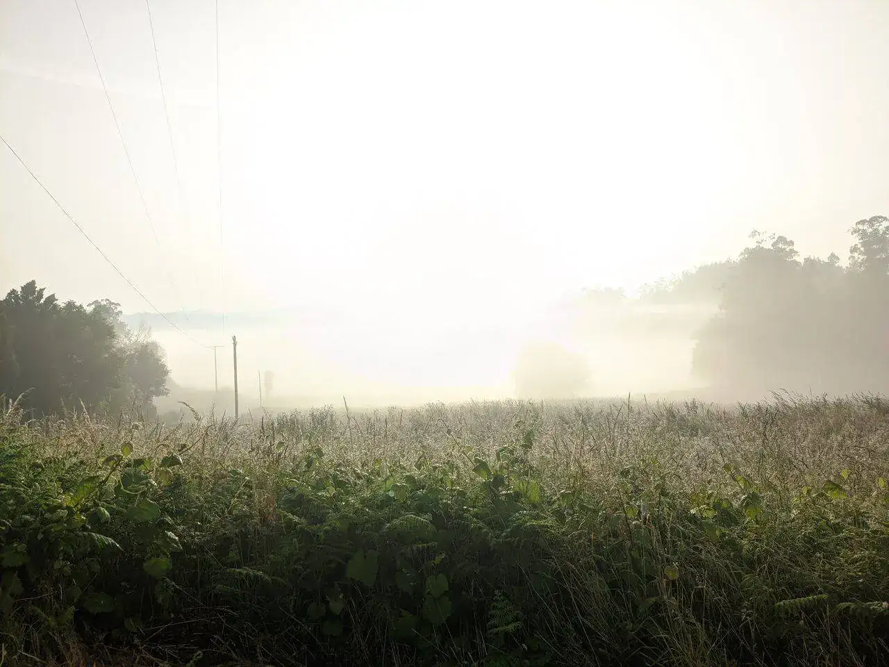 MVIMG_20220615_080728.jpg