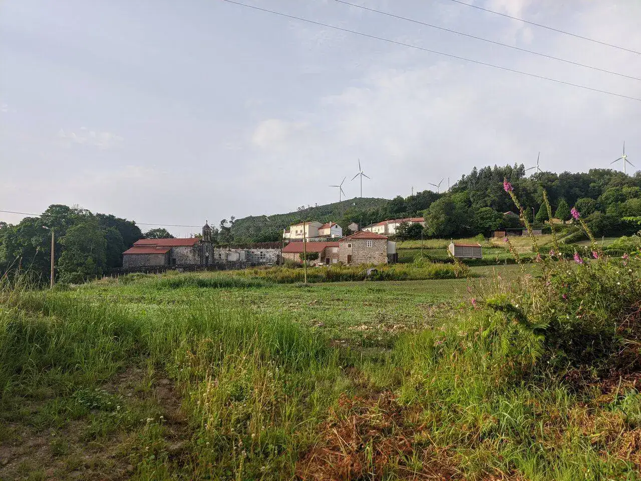 MVIMG_20220615_084428.jpg