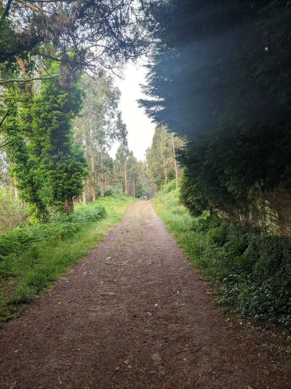 MVIMG_20220617_082031.jpg