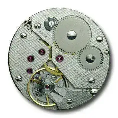 mvt.webp