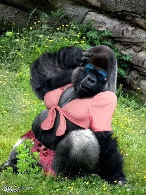 my_pets_sexier_Funzug.org_03.webp