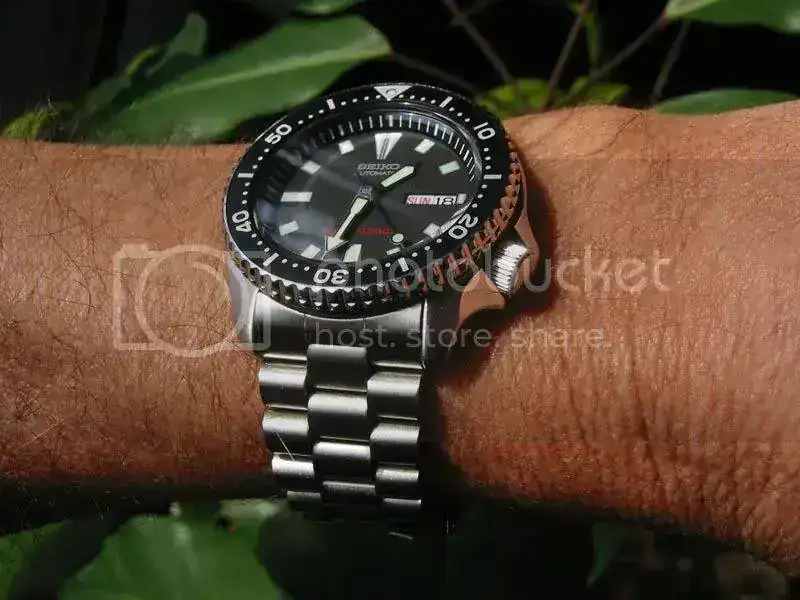 MySKX173d.webp
