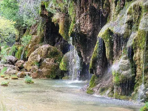 Nacimiento Río Cuervo.webp