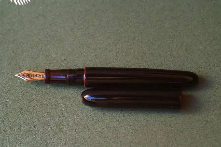 Nakaya abierta.webp