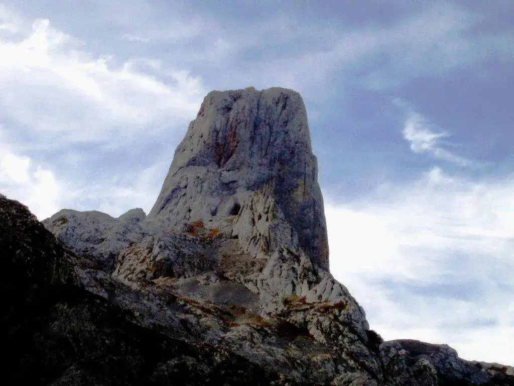 Naranjo y varias 013.webp