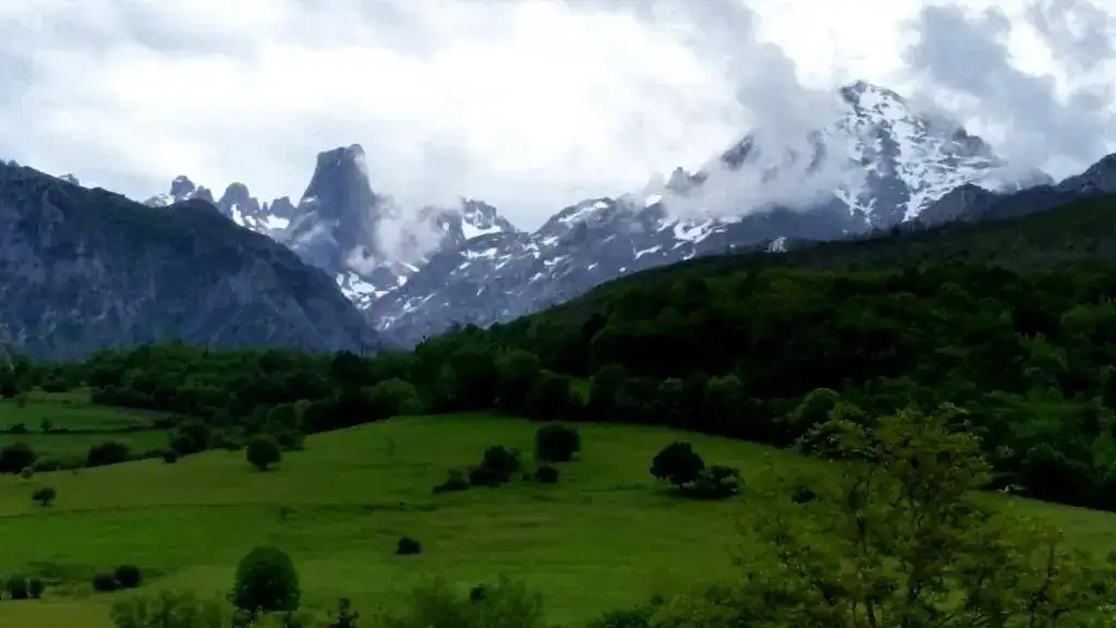 NARANJO2.webp
