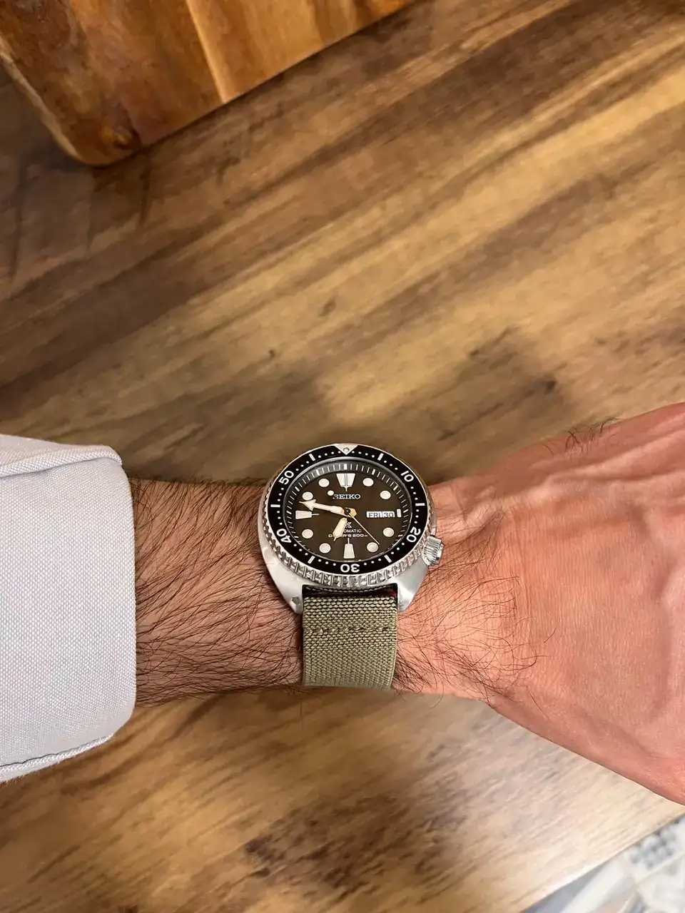NATO BAND TURTLE 2.webp