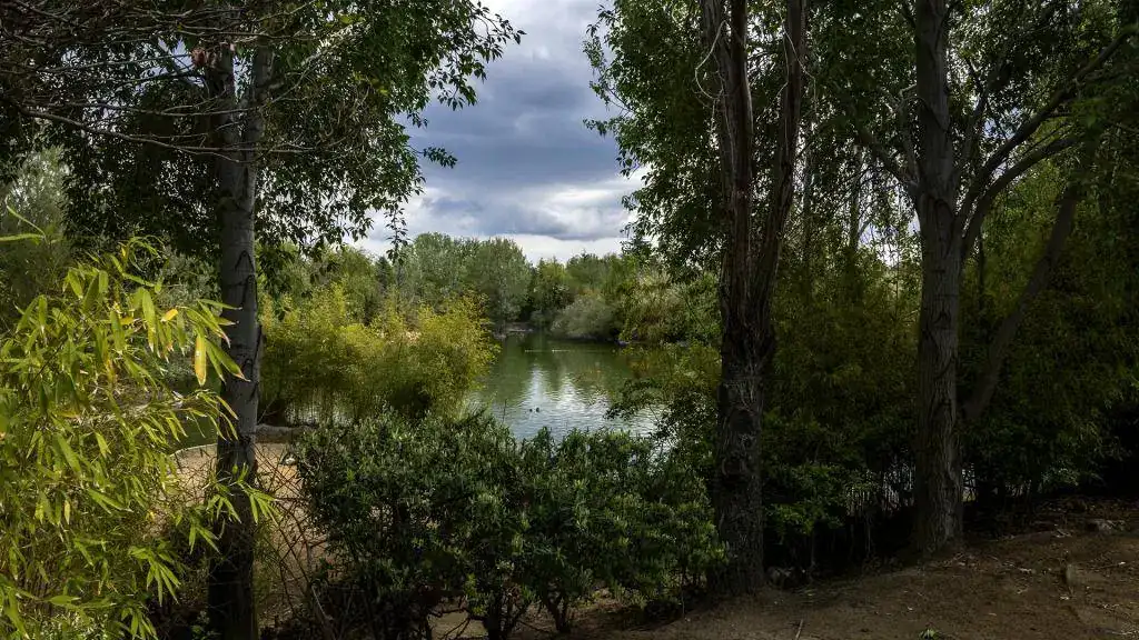 Natura 01.webp