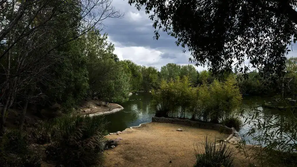 Natura 5.webp
