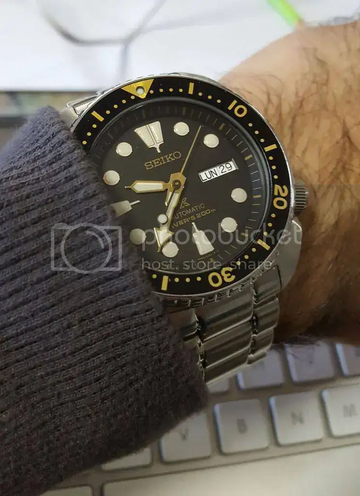 new-turtle-suso1971_zpsq4utdi1c.webp