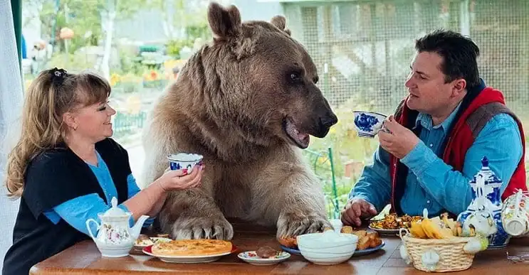 niendo-un-oso-como-mascota-Esta-pareja-lo-tiene-01.webp