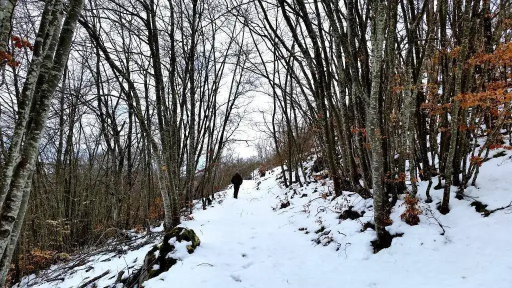 nieve.webp