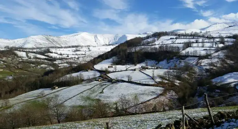 NIEVE.webp