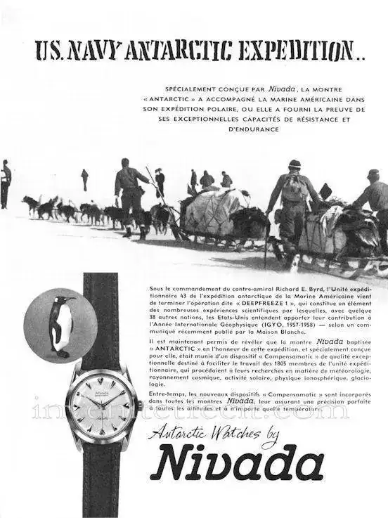 NIVADA 1958.webp