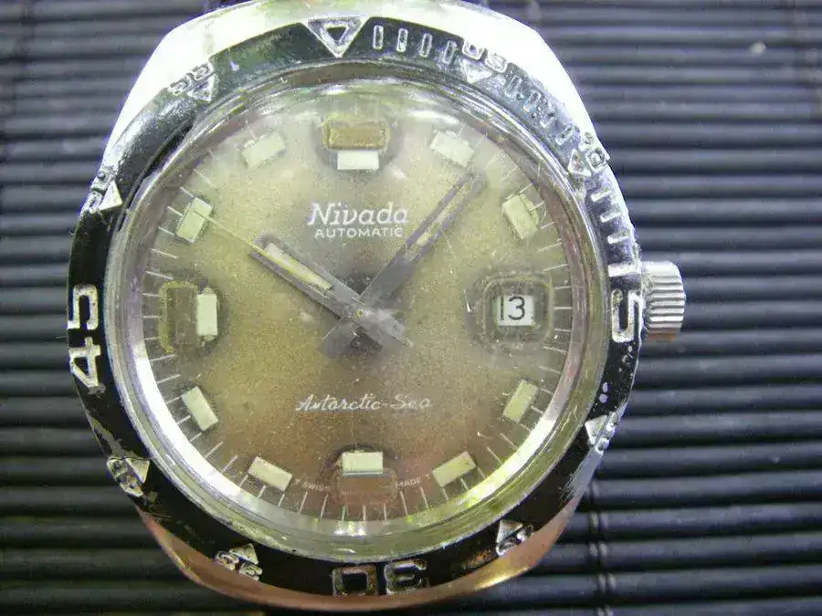 nivada antartic eta 2472 a.webp