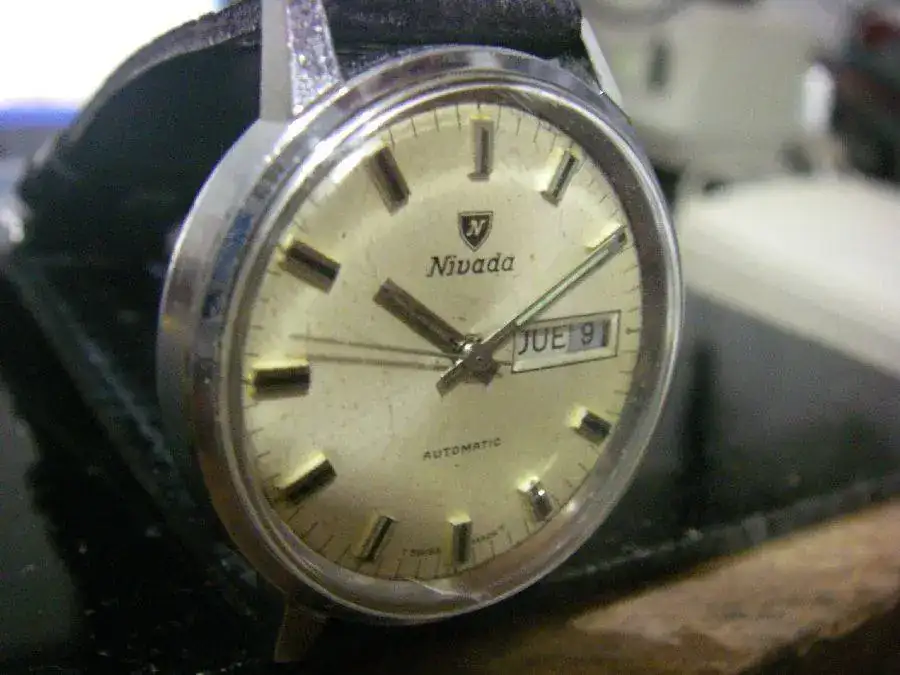 nivada f jpg.webp