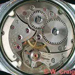 Nivada_14.webp