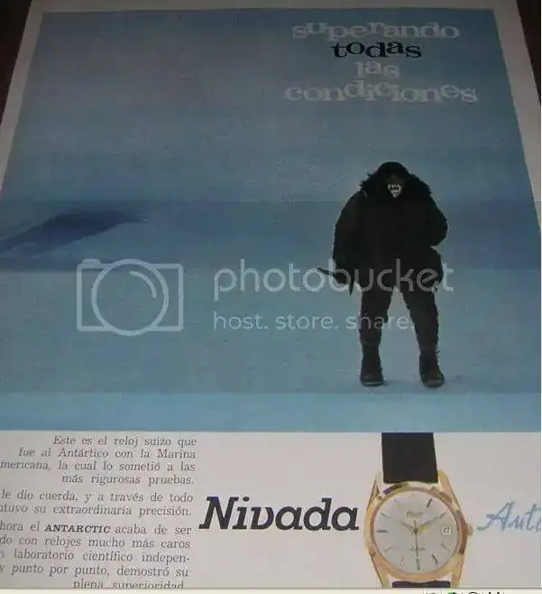 NIVADAANTARTIC.webp