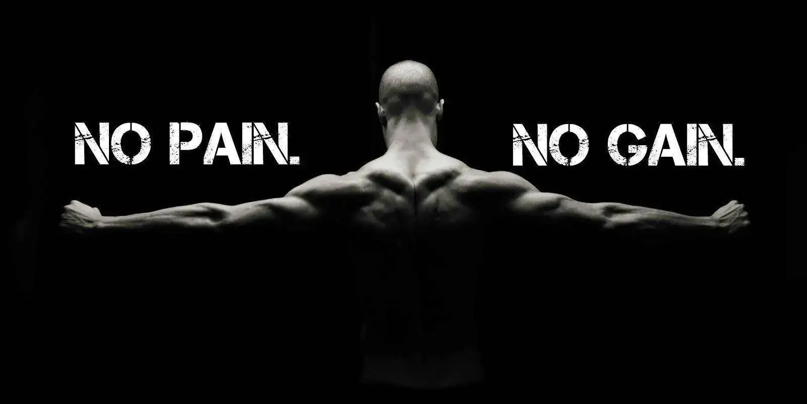 NO-PAIN-NO-GAIN.webp