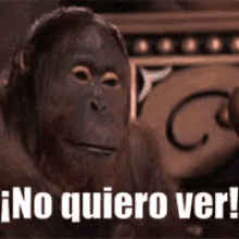 no-quiero-ver-ojos-cubiertos.gif