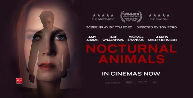 Noctunal-Animals_VoxBox.webp