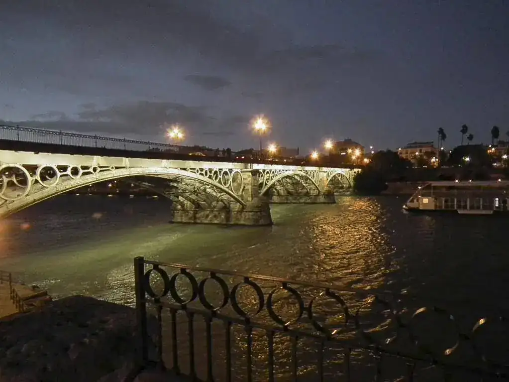 Nocturna Puente.webp