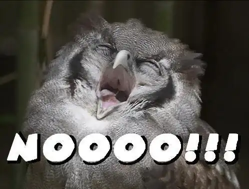 Noooo.webp