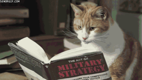 not-quite-sure-what-theyre-planning-but-keep-an-eye-on-them.gif