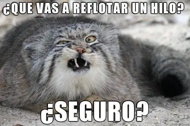 NrEIzCT.webp