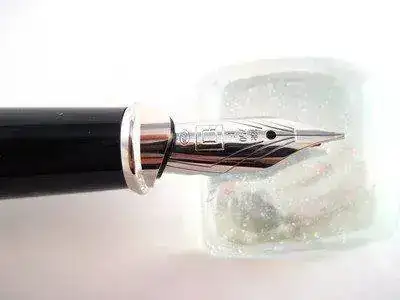 nt-Platinum-D-Link-Fountain-Pen-w-4-Rings-421002-6.webp