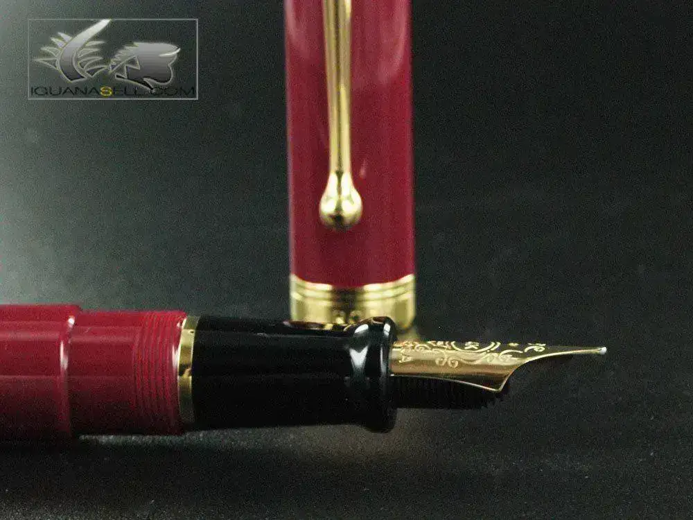 ntum-Fountain-Pen-Burgundy-Resin-&-Gold-Nib-D12X-6.webp