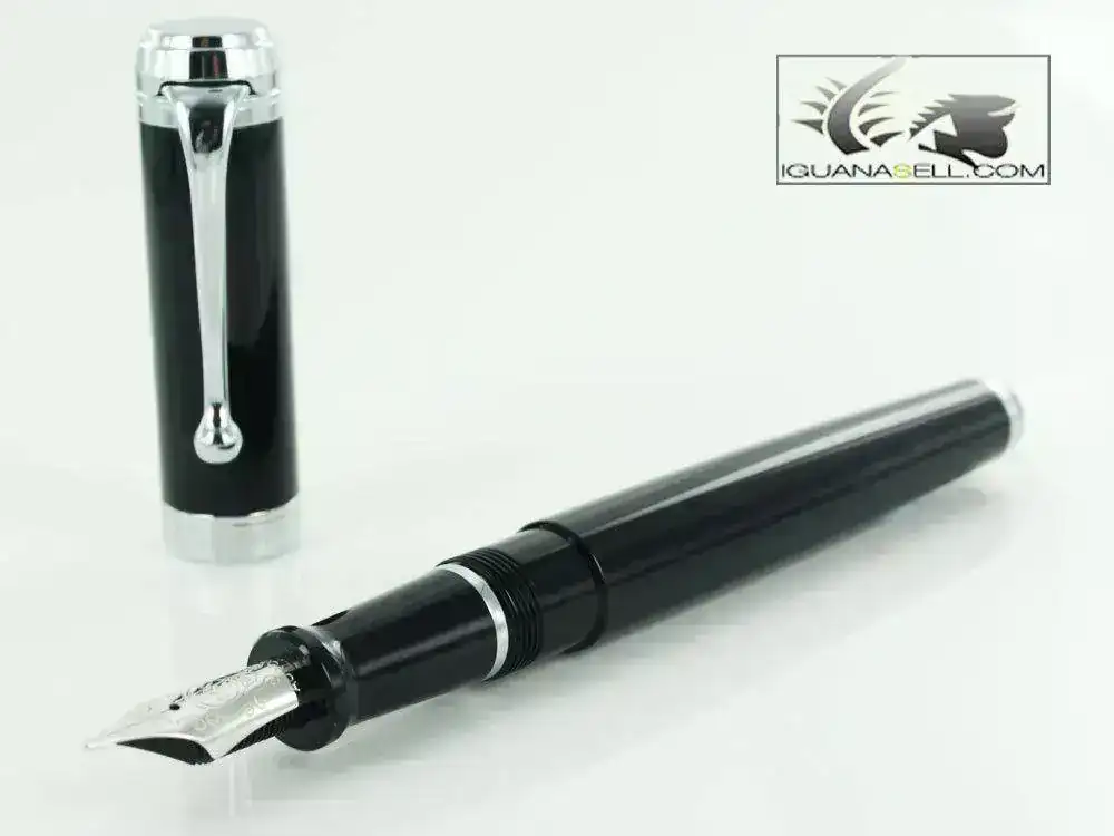 ntum-Fountain-Pen-Resin-&-Chrome-Trims-D11-d11NM-1.webp
