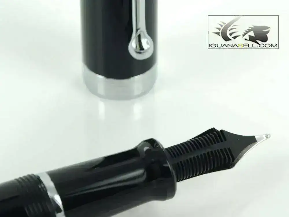 ntum-Fountain-Pen-Resin-&-Chrome-Trims-D11-d11NM-5.webp