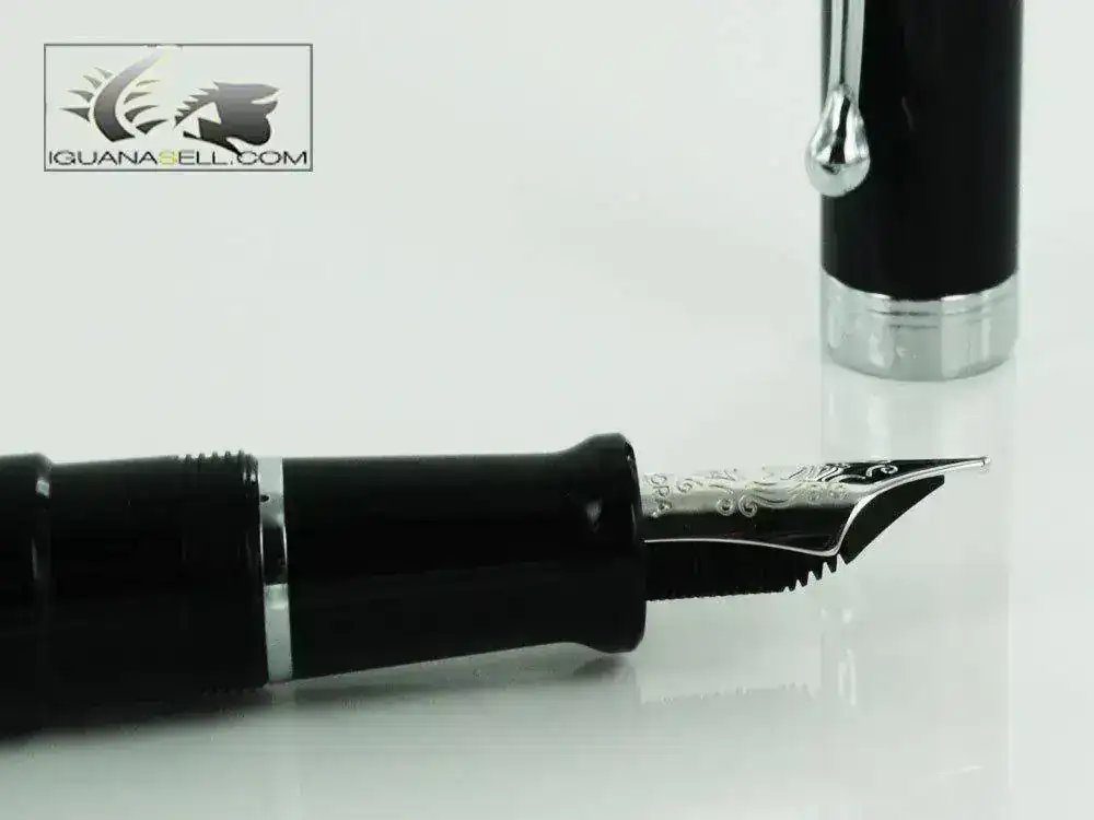 ntum-Fountain-Pen-Resin-&-Chrome-Trims-D11-d11NM-6.webp