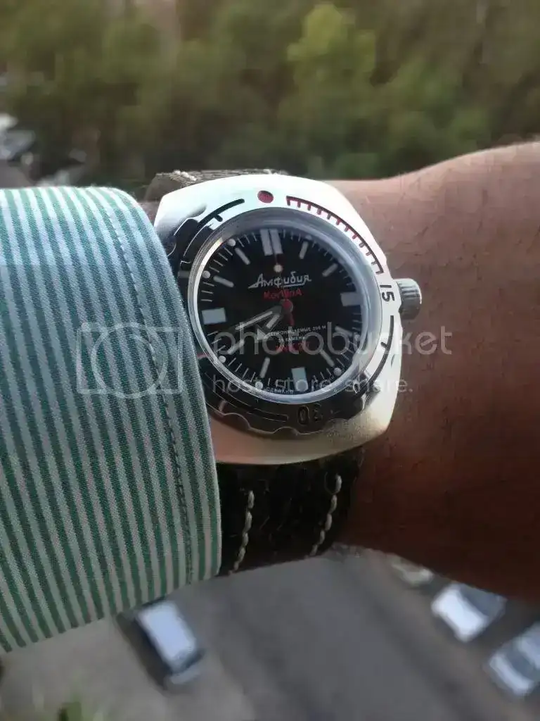 null_zps4d17e787.webp