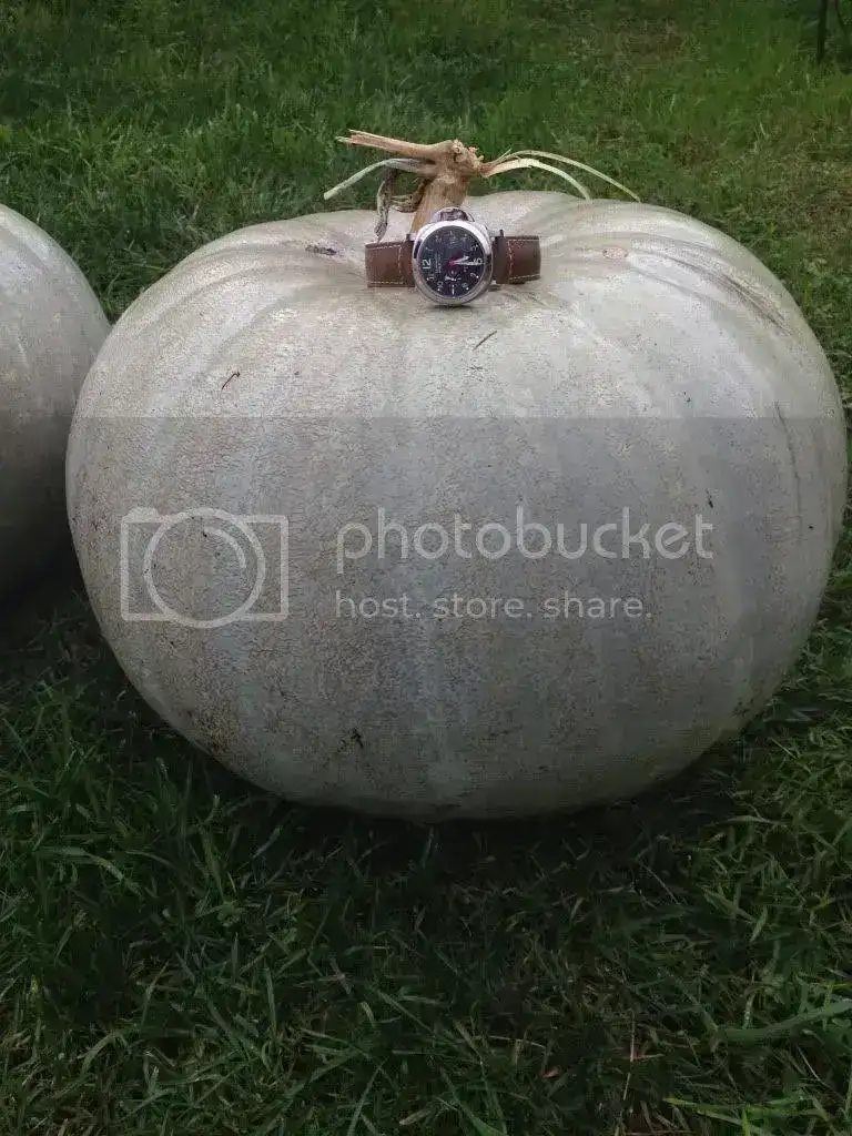 null_zpsf6d3f3c6.webp