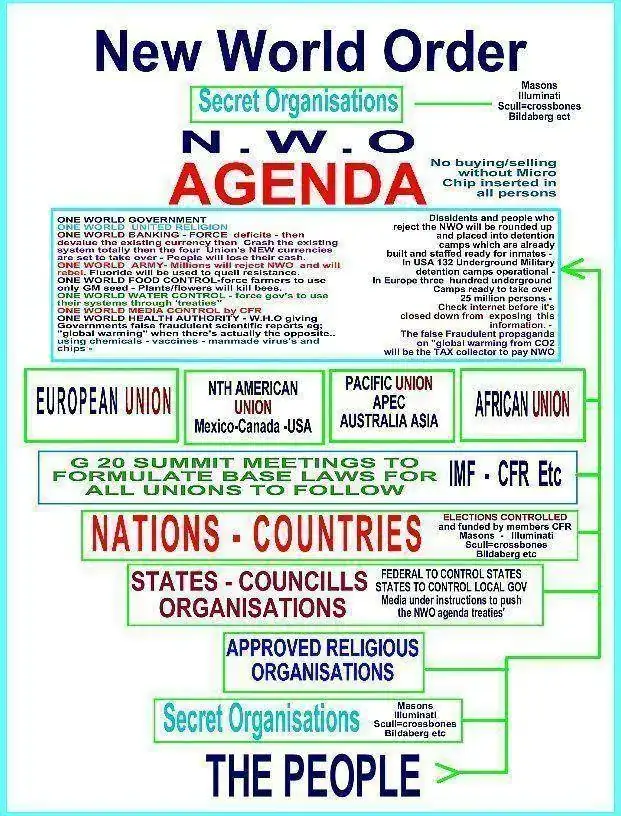 NWO%20Brochure.webp