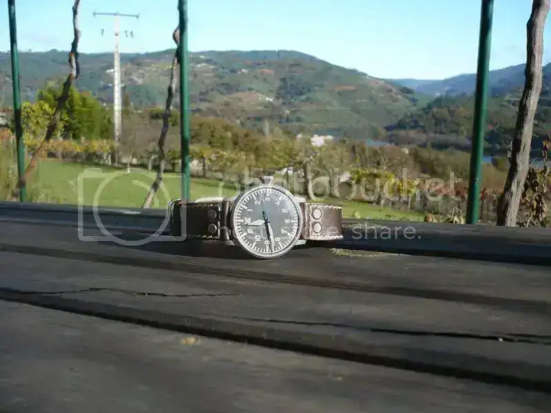observador020.webp