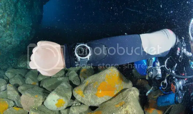 ocean_diver_gmt.webp